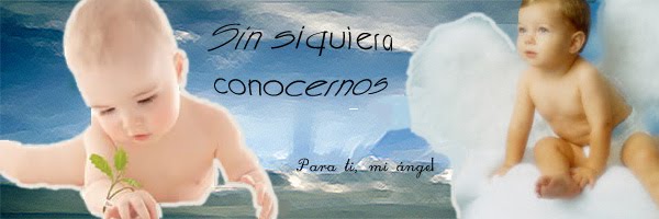 Sin siquiera conocernos