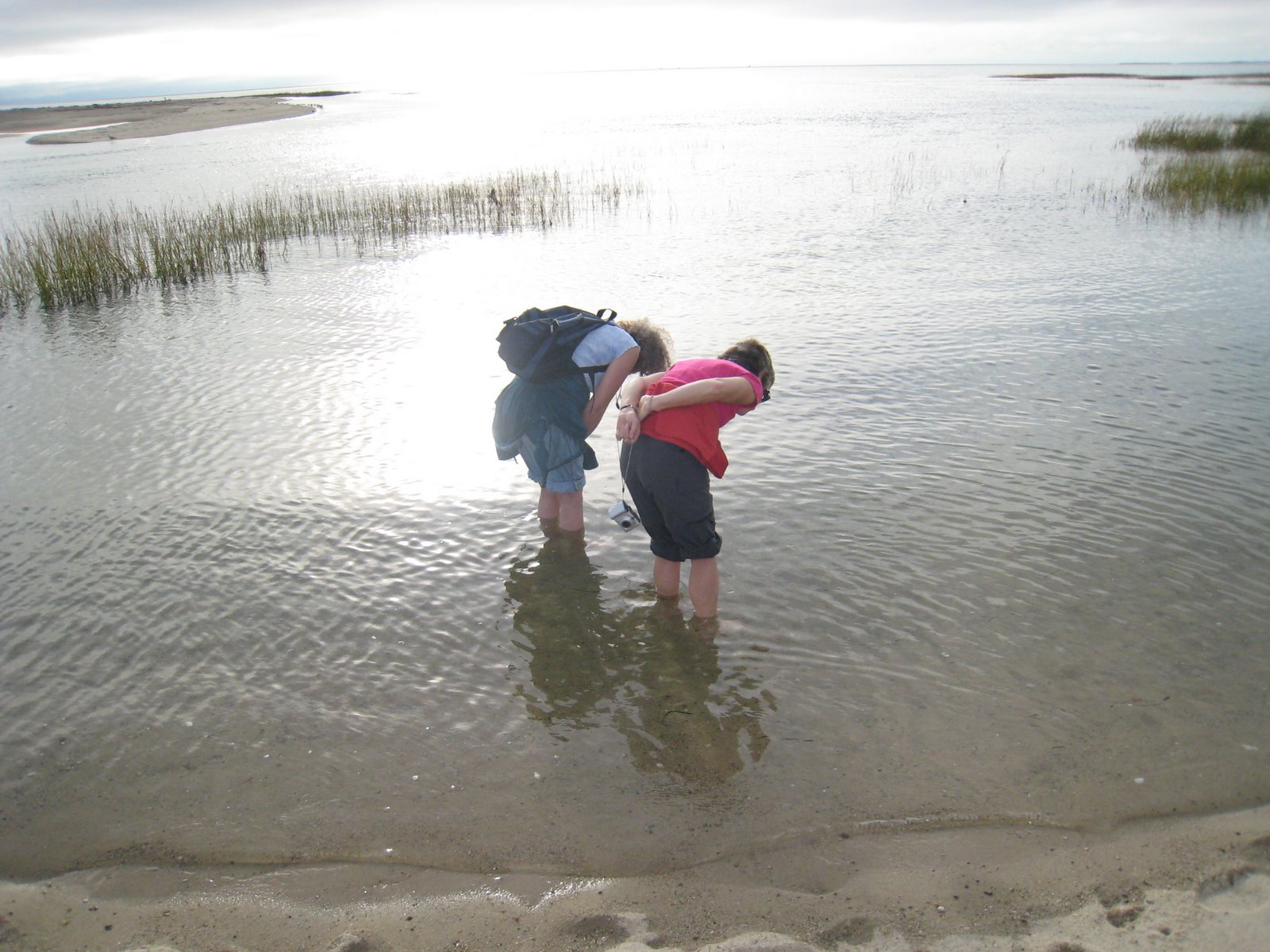 [IMG_0041.JPG]