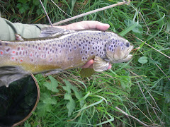 Big Manifold Brown