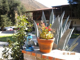 Hospedaje en valle de Guadalupe
