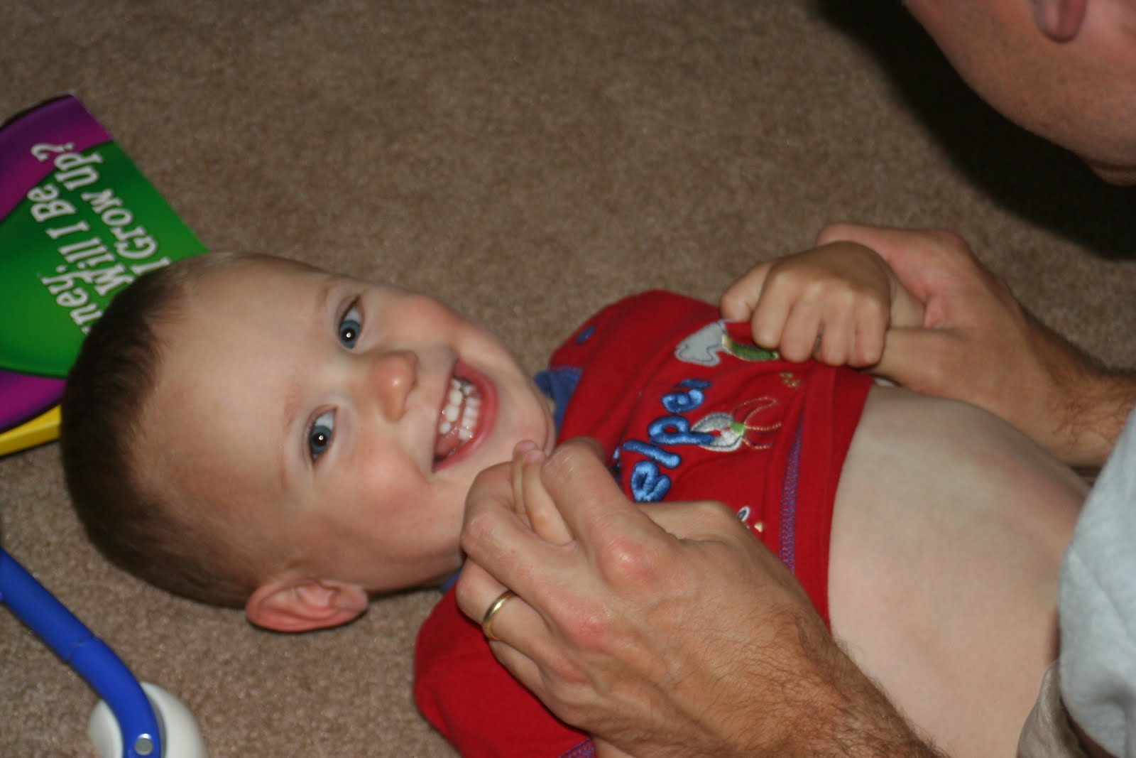 A houseful of critters Babies!!!