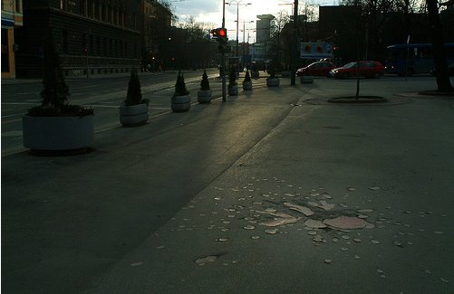 [sarajevo+rose+-+mc+hammerheadshark+-+flickr.bmp]