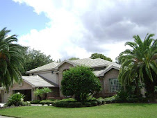 After Non Pressure Roof Cleaning.