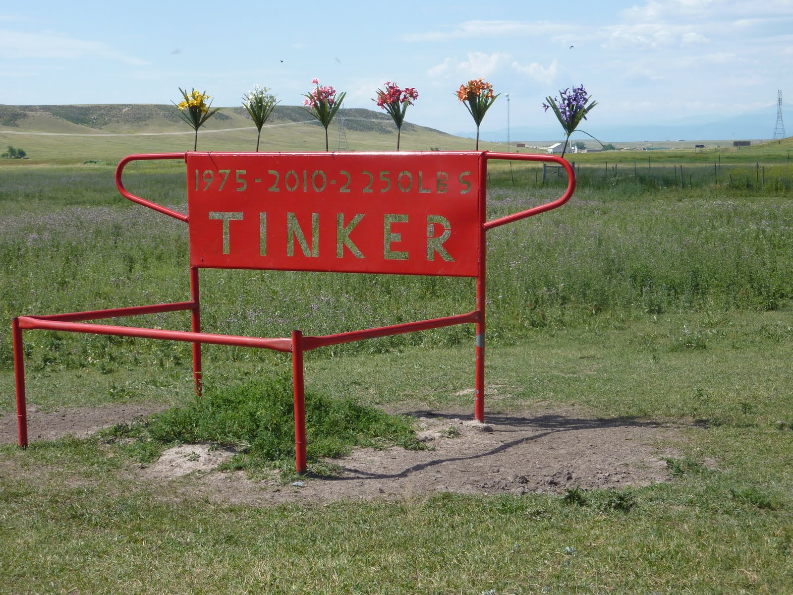 World Travel Travel Thumbnail Terry Bison Ranch
