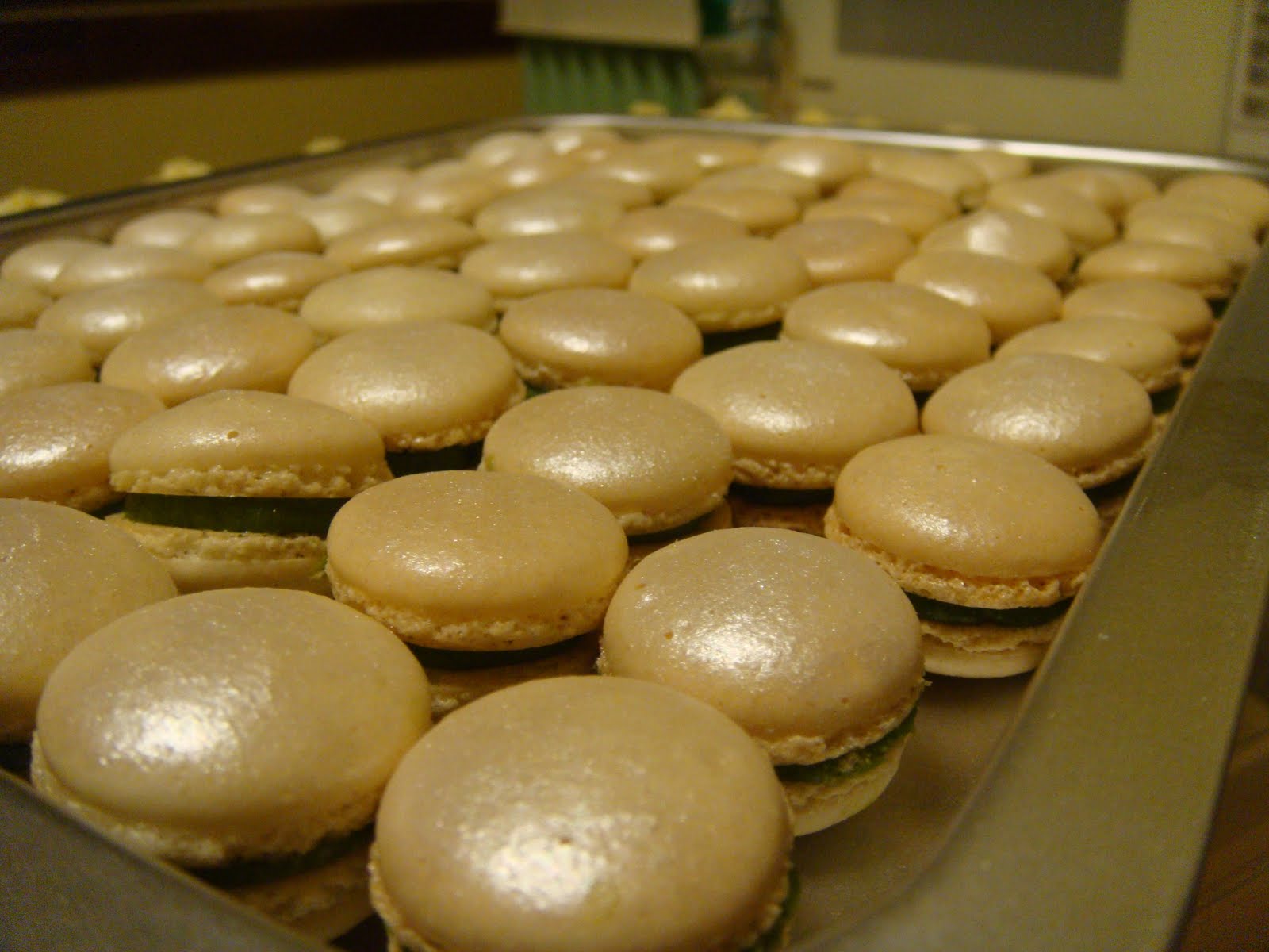 la fleur au Cacao.... The Macarons that Shimmered for the Union of Two