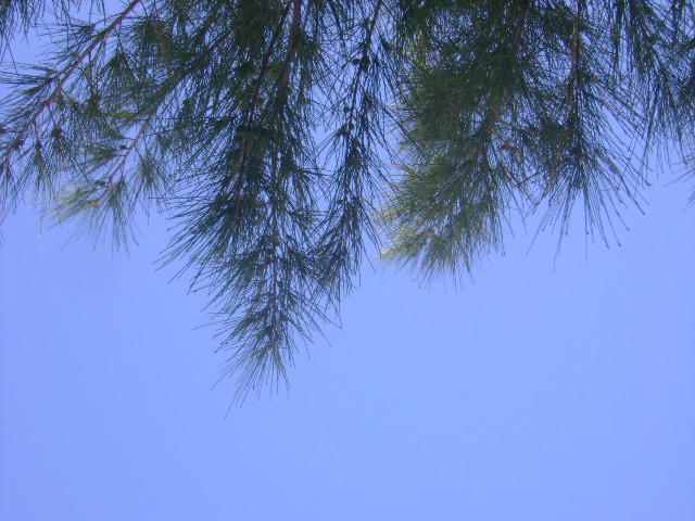 [DSC04127.JPG]