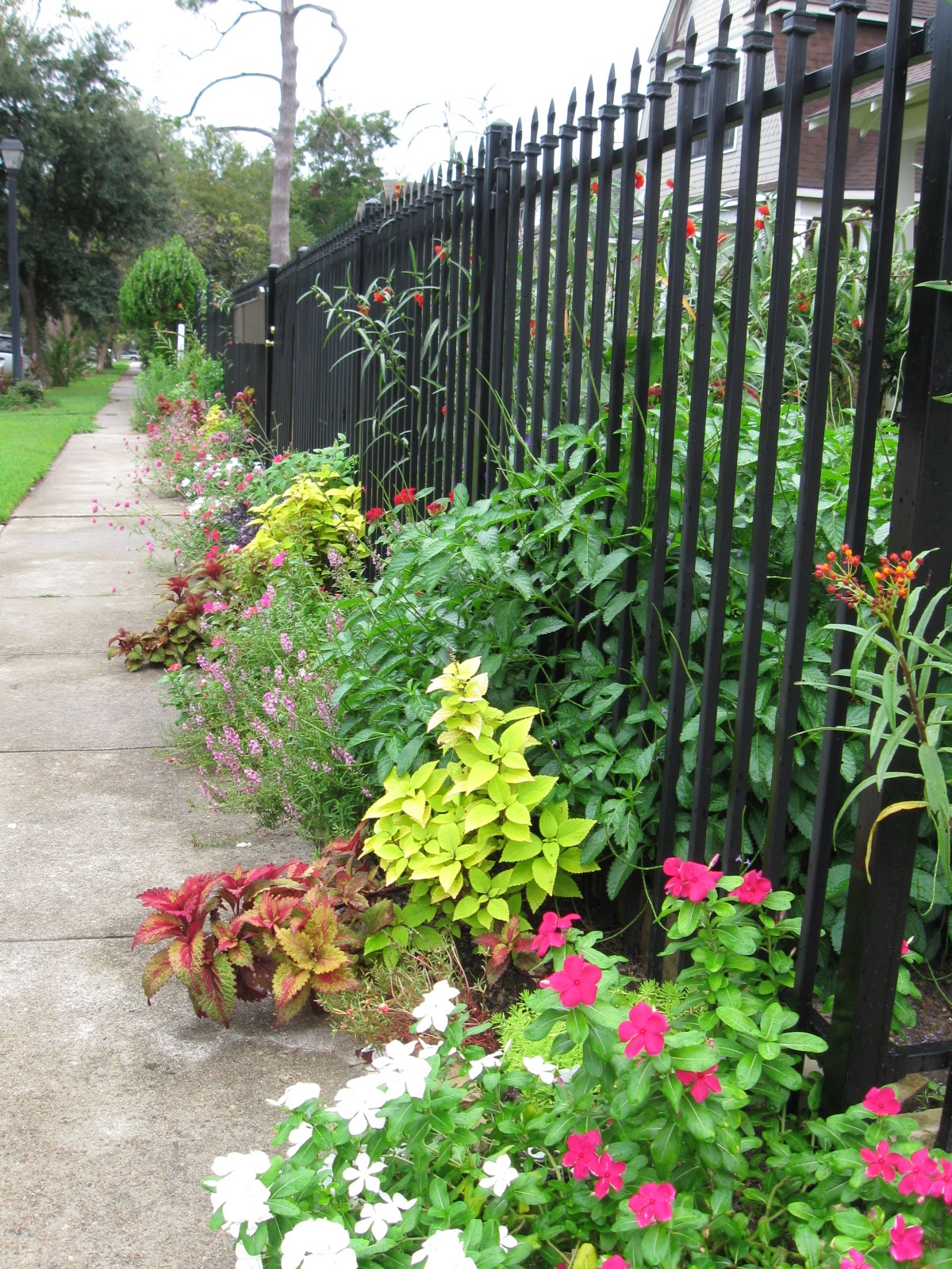 The OtHeR HoUsToN 1920 HOUSTON HEIGHTS SUNNY BUNGALOW GARDEN