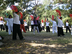 ABANICO DE TAI CHI