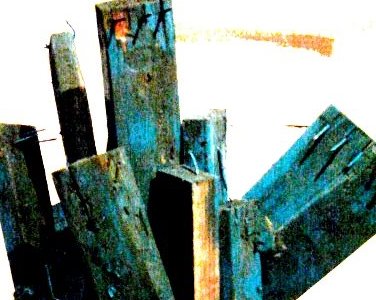 ANARQUISMO MATA CARITA