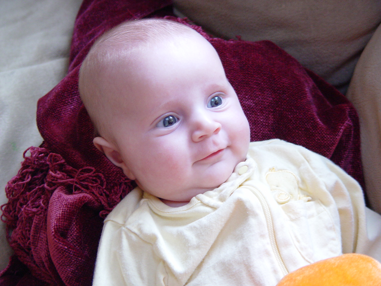 [DSC06550.JPG]