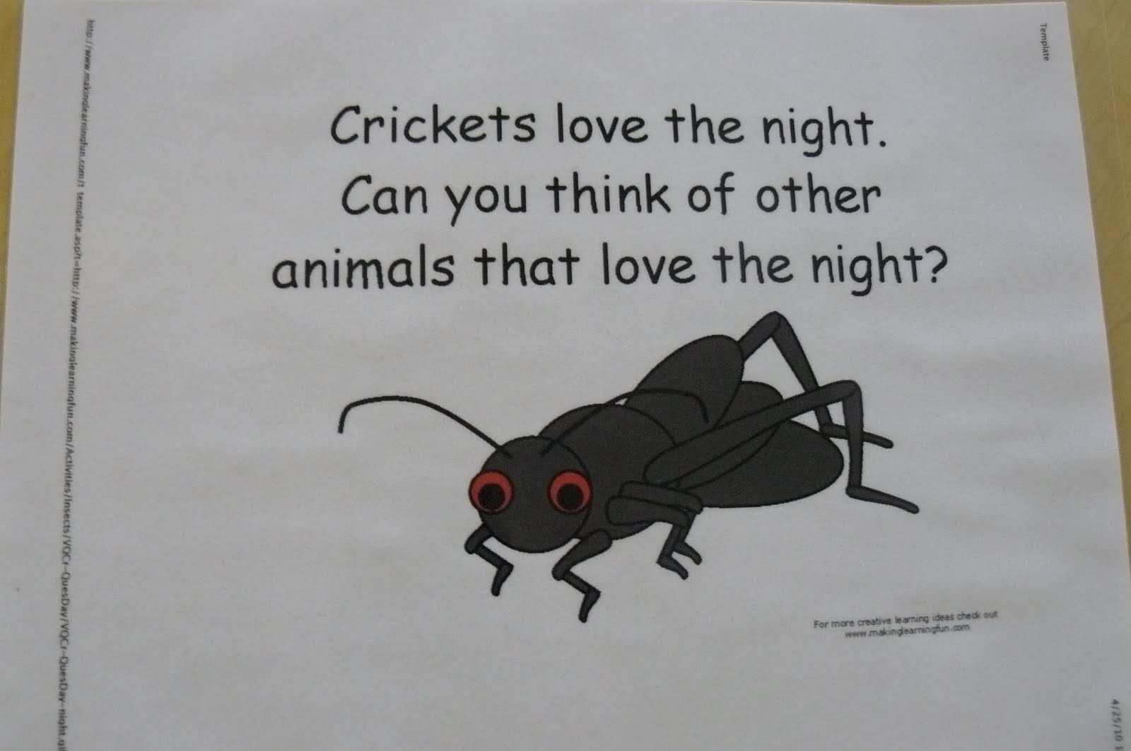 The Very Quiet Cricket Bright Beginnings Preschool