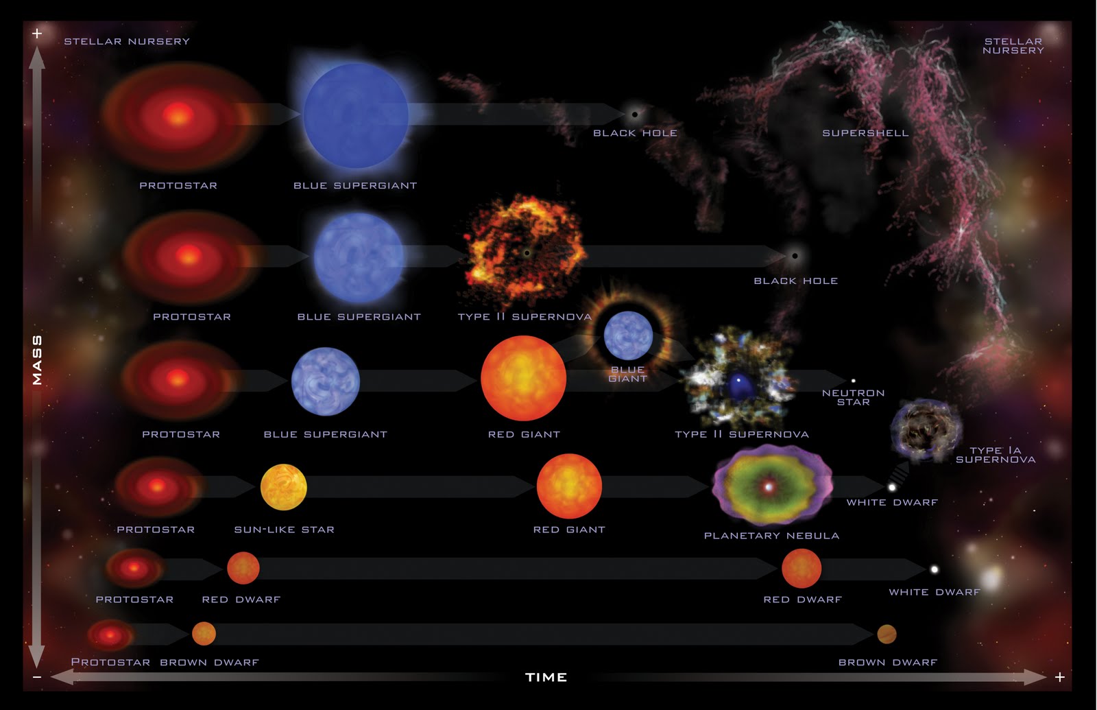 nucleosynthesis in low mass stars nucleosynthesis in low mass stars