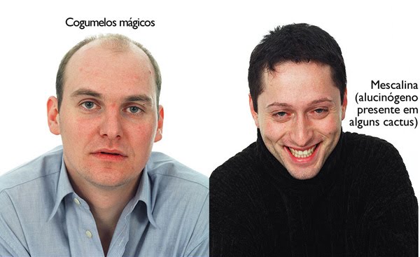 O efeito das drogas O efeito das drogas