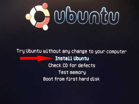 [ubuntu8-boot-menu.jpg]