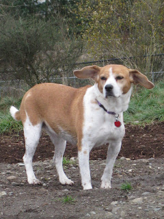 Sadie Park