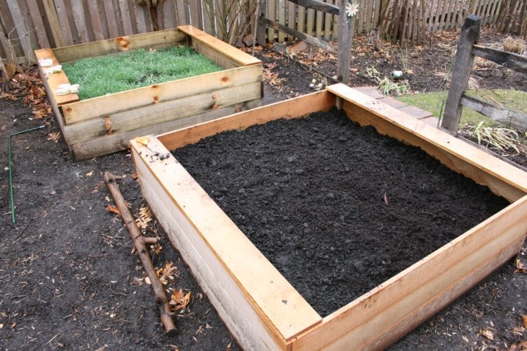 heirloom gardener Raised Vegetable Beds Organically Preparing the