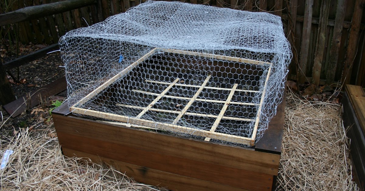 heirloom gardener How to Protect Vegetables from Groundhogs, Rabbits