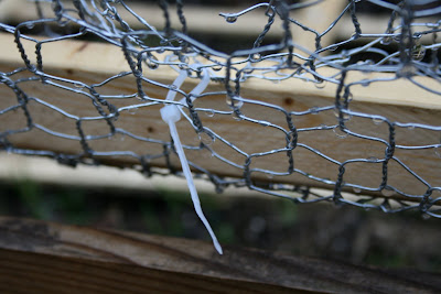 heirloom gardener: How to Protect Vegetables from Groundhogs, Rabbits