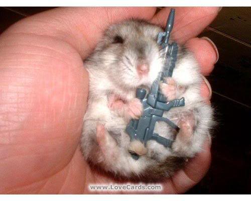 [funny_animals_0491.jpg]