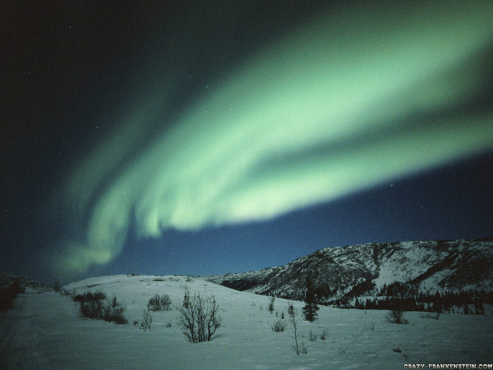 Aurora Pictures