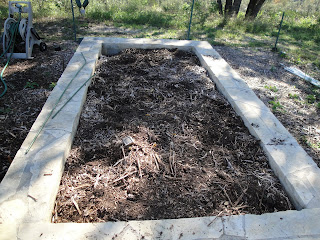 Diane S Texas Garden Preparing Garden Beds