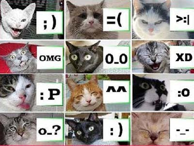 Imagenes Lol! Lol+cat+escape