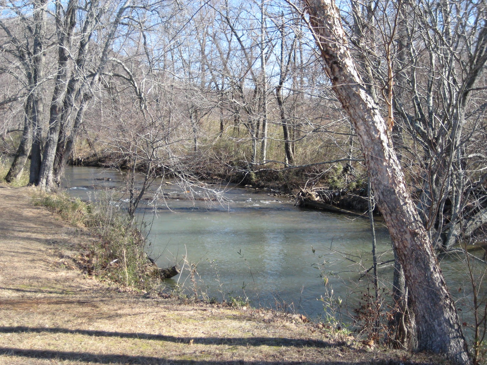 The Western North Carolina Project! Owen Park