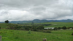 J'ai ete un peu vite pour quitter Brisbane, 2000 km en 4 jours mais c'etait bien. les paysages etant l'interet, j'ai eu mon compte.