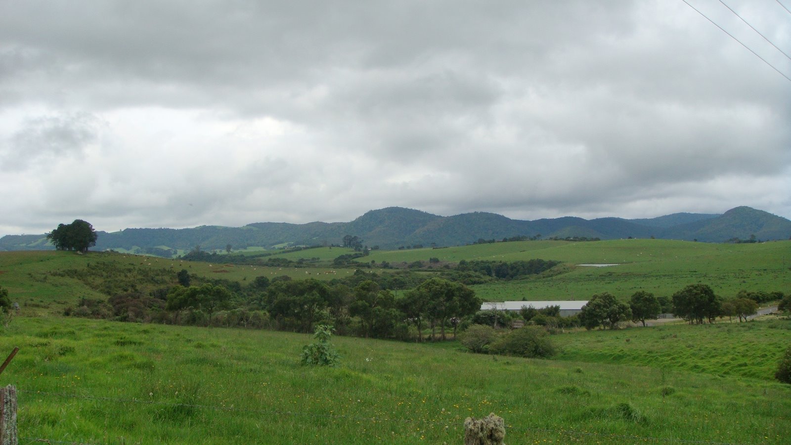 [DSC00203.JPG]