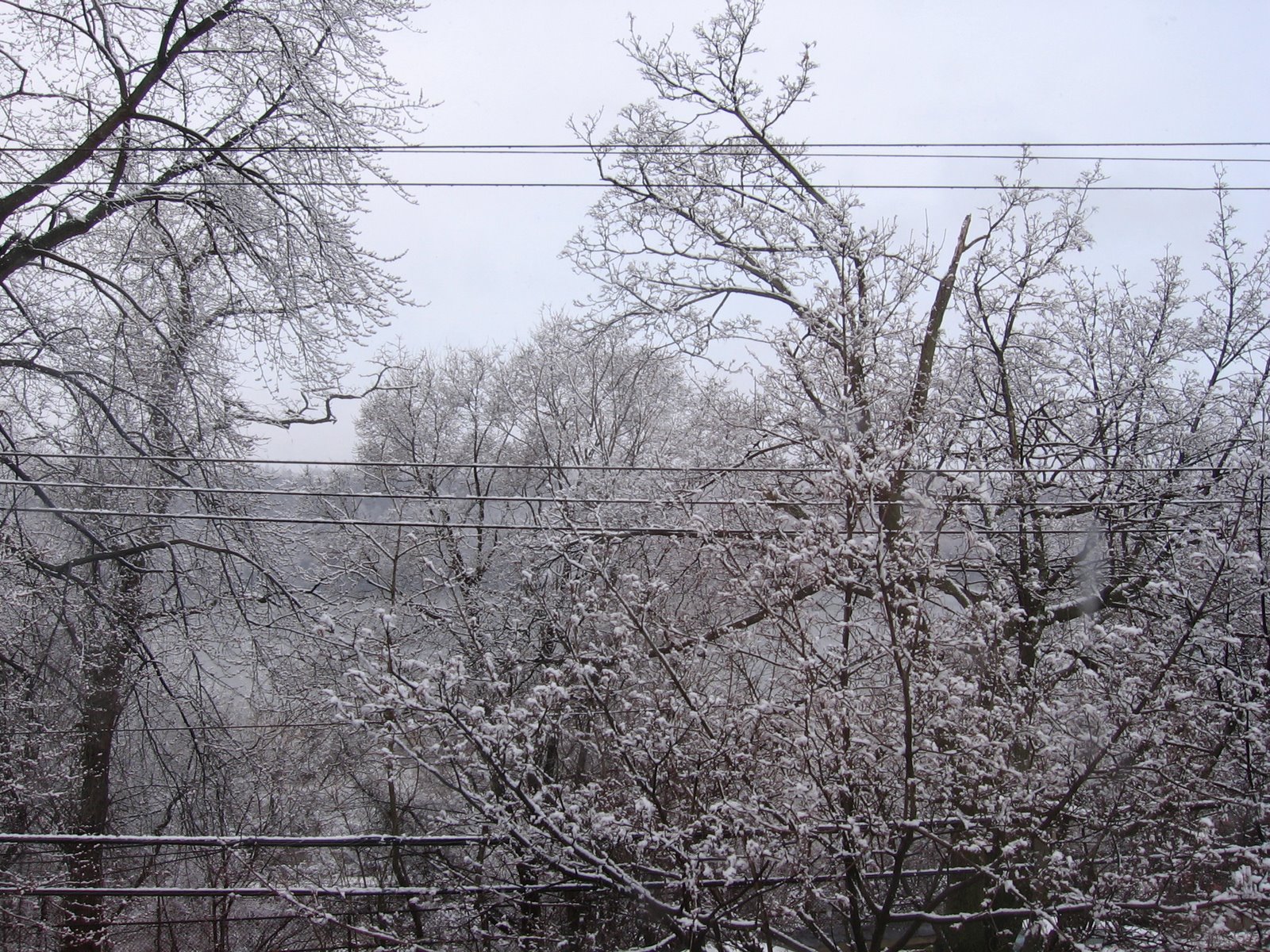 [IMG_2195.JPG]