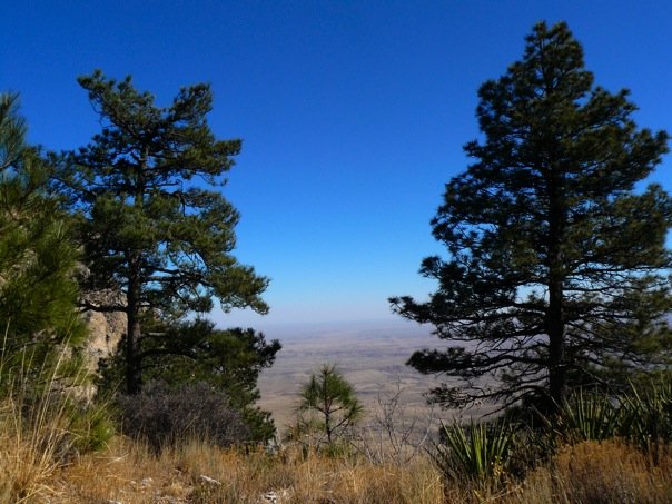 [n37510969_34142006_6057.jpg]