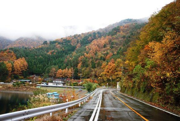 [DSC_0058.JPG]
