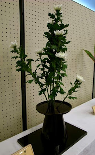 正花正風体菊一種(玄猪)