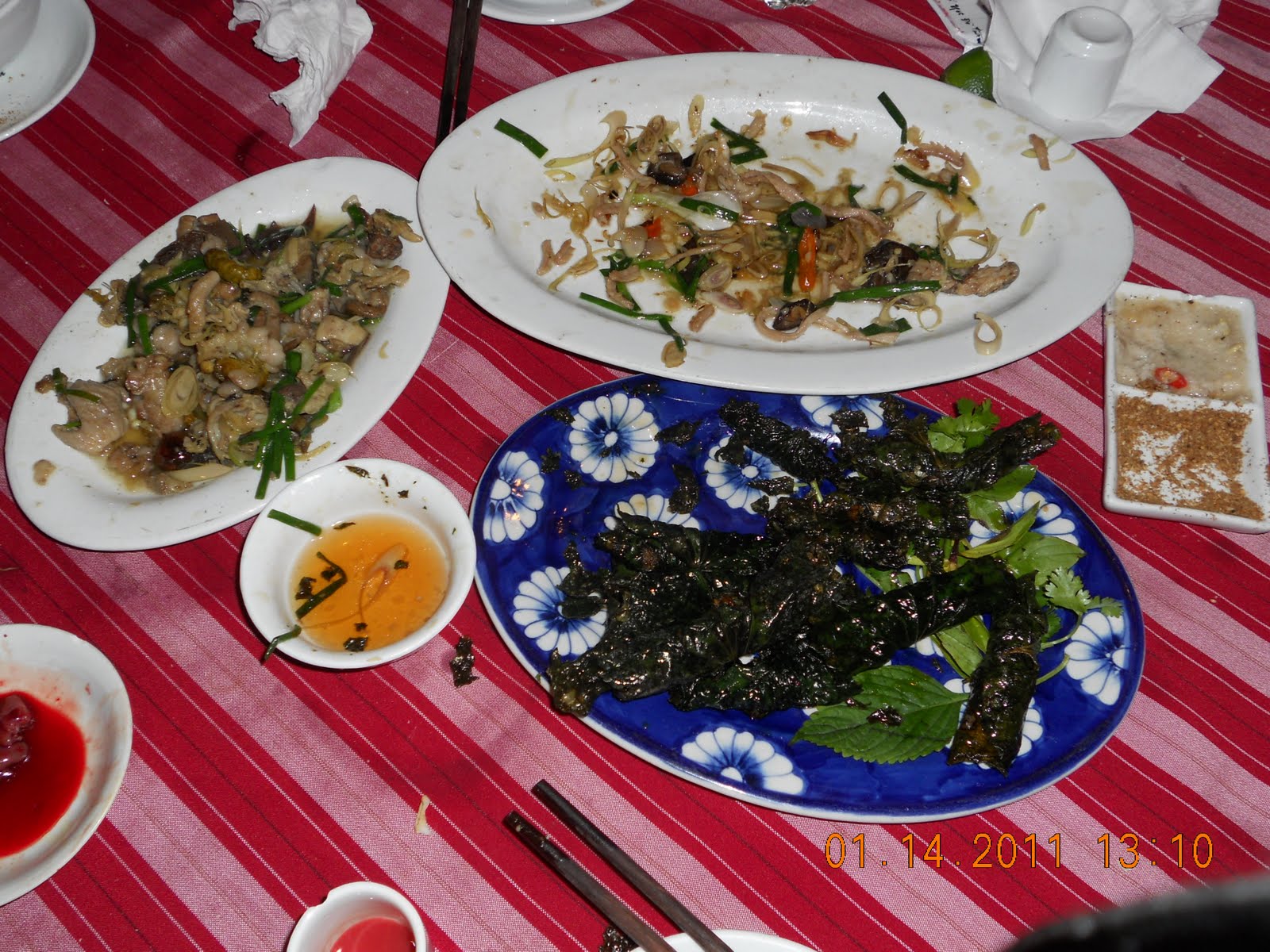 Experience in Vietnam Snake Meat
