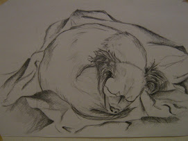 căţeluş cu păru drept