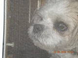 My Photo