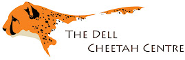 Dell Cheetah Centre