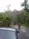 road to ujung genteng