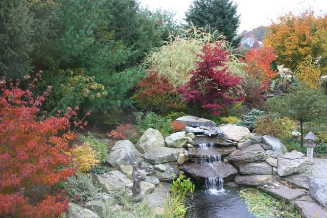 Autumn in the Garden
