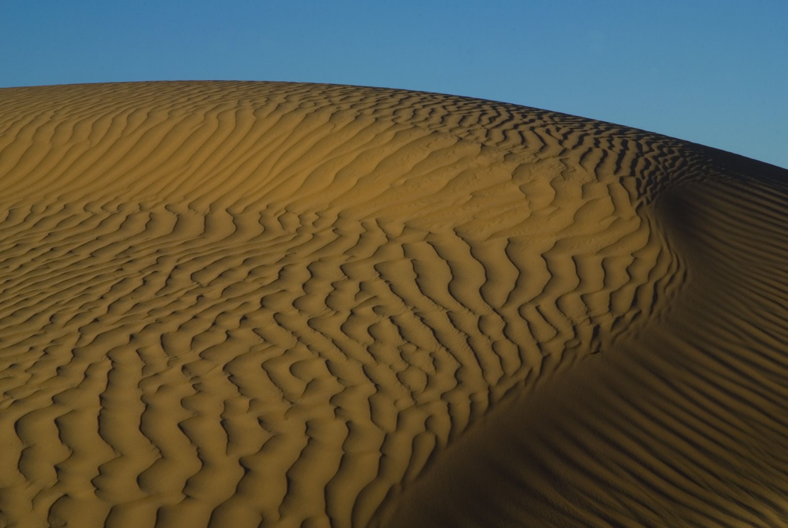 [_DSC0165+DUNA3re.jpg]