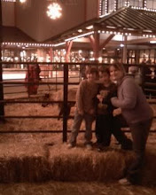 me, mckenzie, and spencer in front of real reindeer