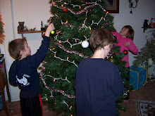 spencer, jaden , and sissy decorating the tree