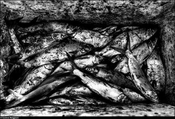 [gold_mining_25.jpg]