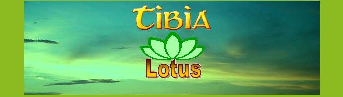 Tibia Lotus