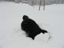 [neve+2.bmp]