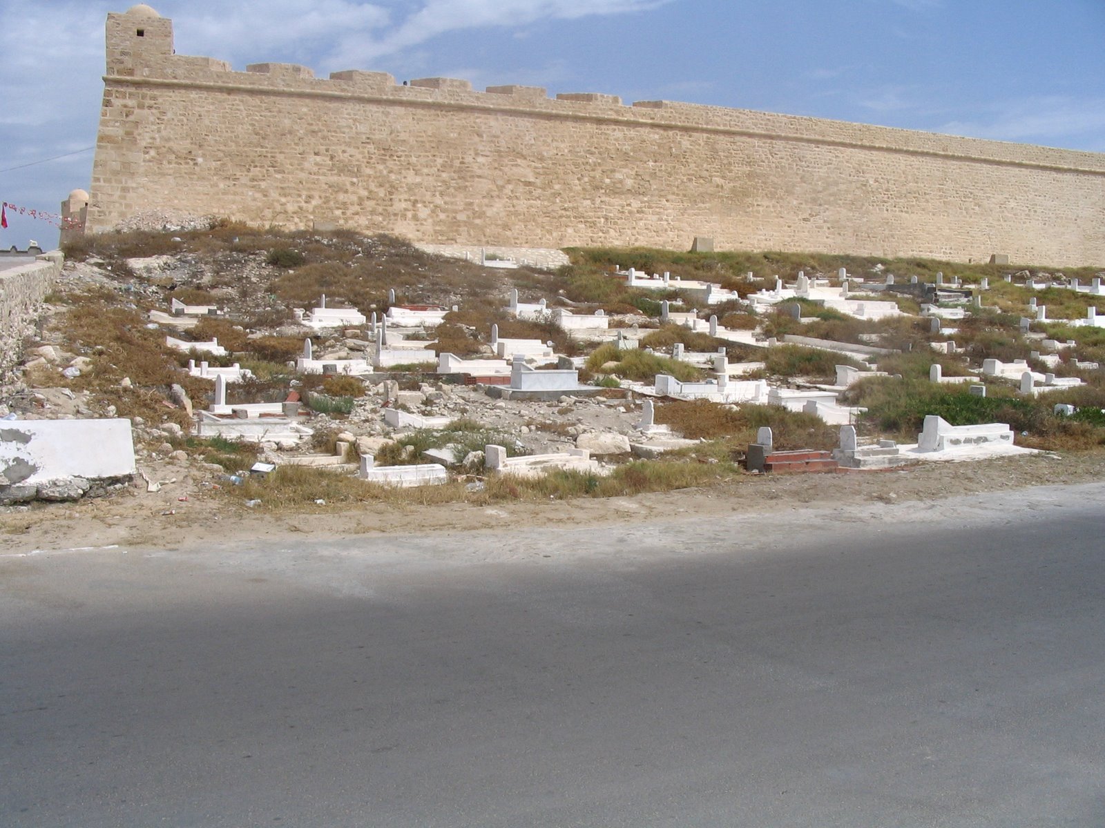[IMG_0045.JPG]