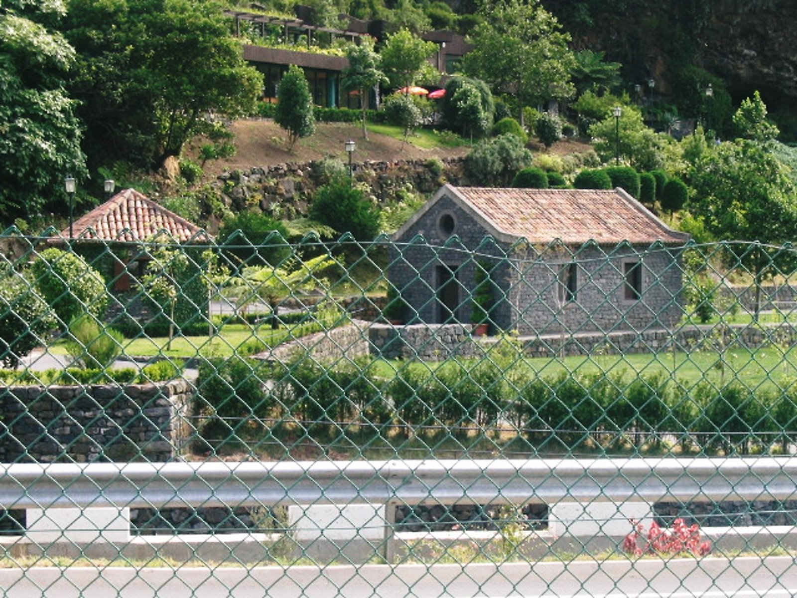 [D1000111.JPG]