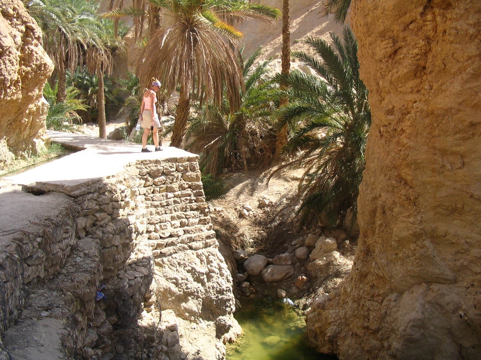 [IMG_0151.JPG]