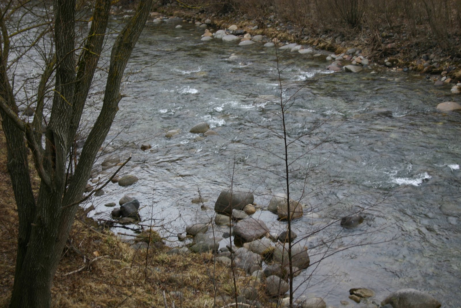[IMG_4229.JPG]