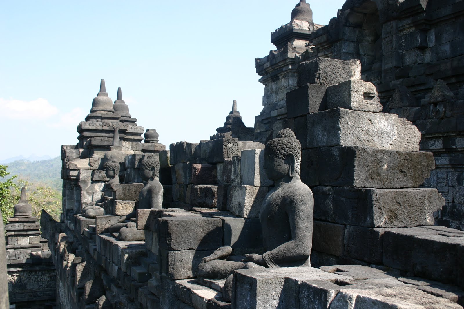 [IMG_6654.JPG]